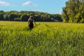A lawyer walking through a lush green field, symbolizing connection to rural clients.