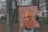A rusty, orange metal electrical box is mounted on a weathered pole. The box has a triangular warning sign indicating high voltage and is secured with a padlock. The background consists of blurred autumn foliage and leaf-covered ground.