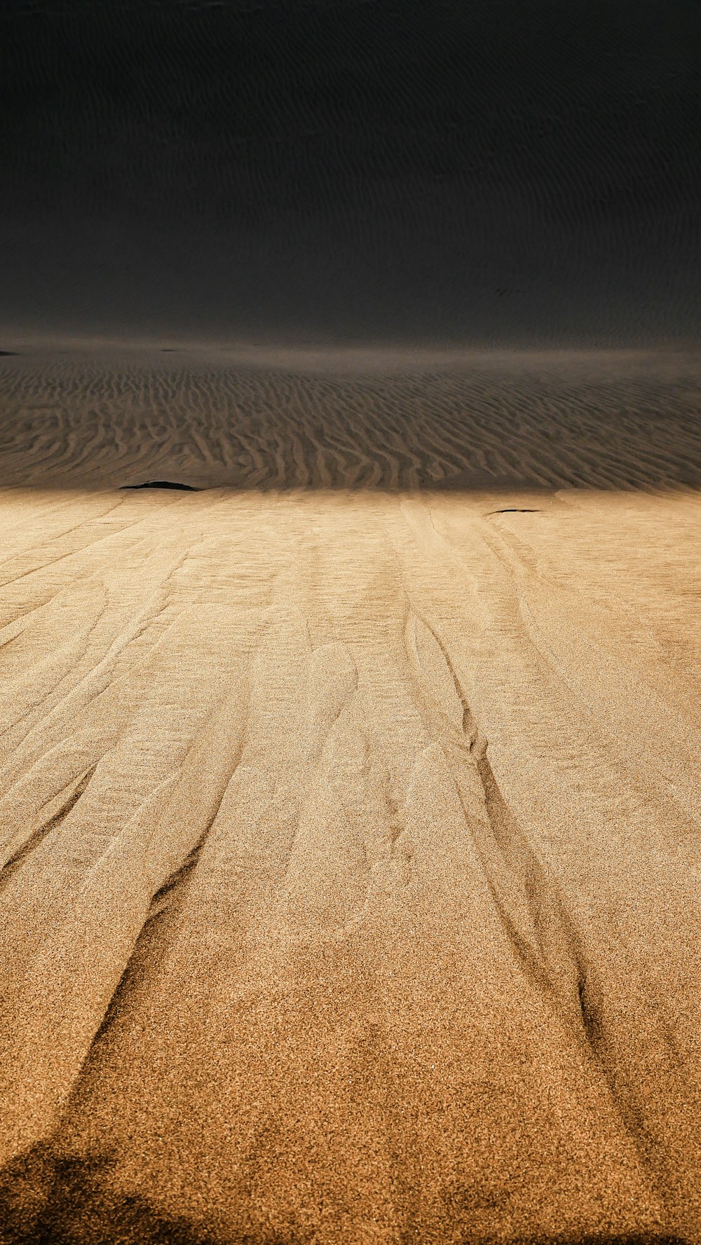 sand dunes at night