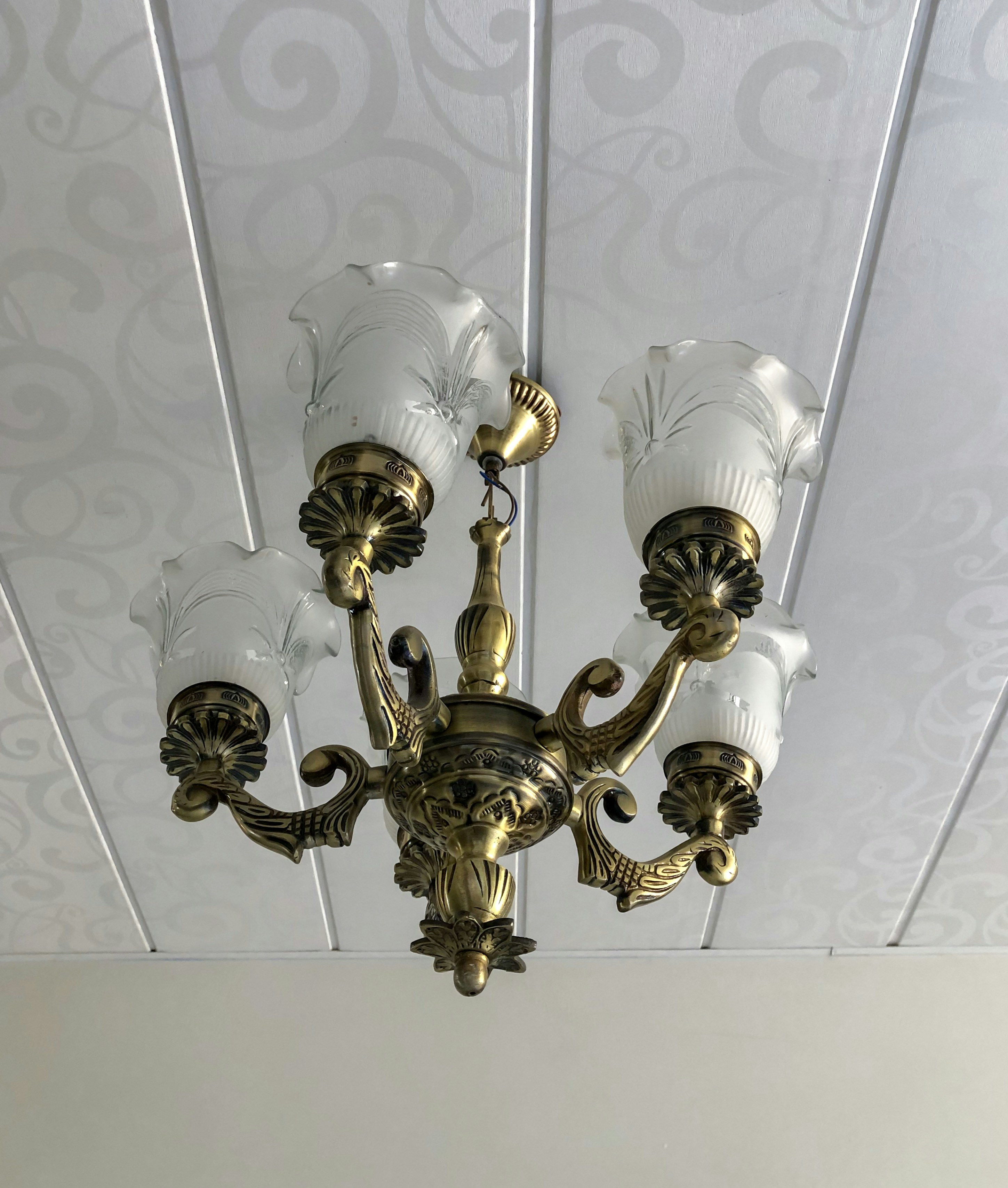 Photo by havencreative