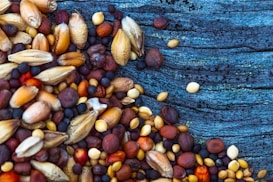 A variety of seeds and grains are scattered on a textured blue wooden surface. The seeds are diverse in size and color, ranging from small black and round to larger, oblong, and tan-colored ones. The wooden background contrasts with its rich blue tones and visible grains.