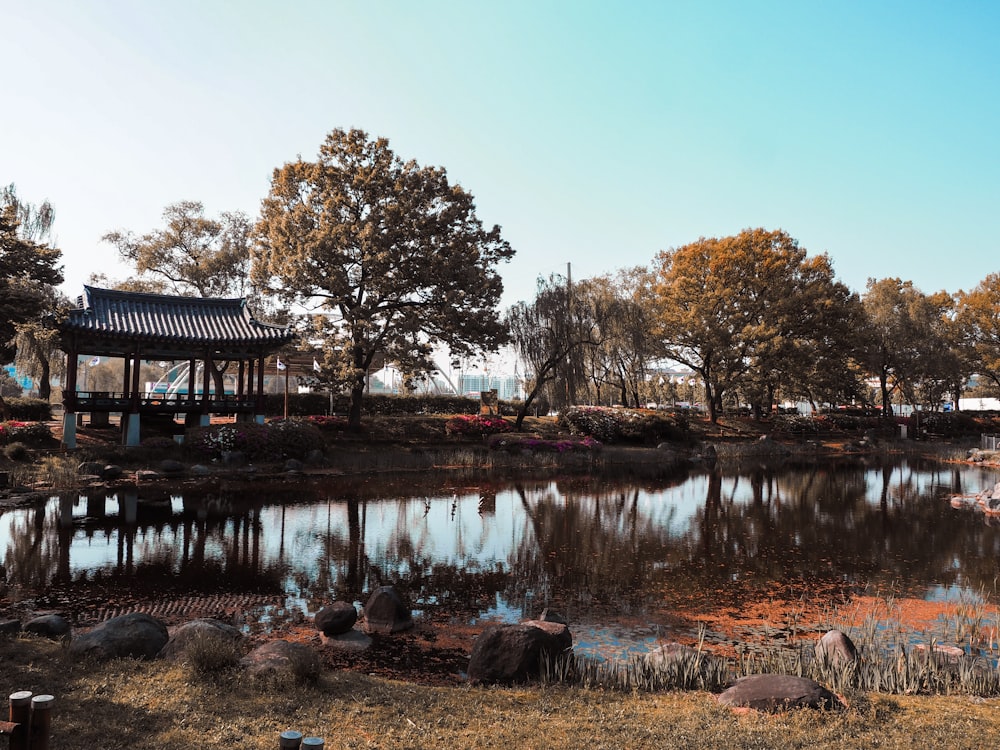 木々に囲まれた川