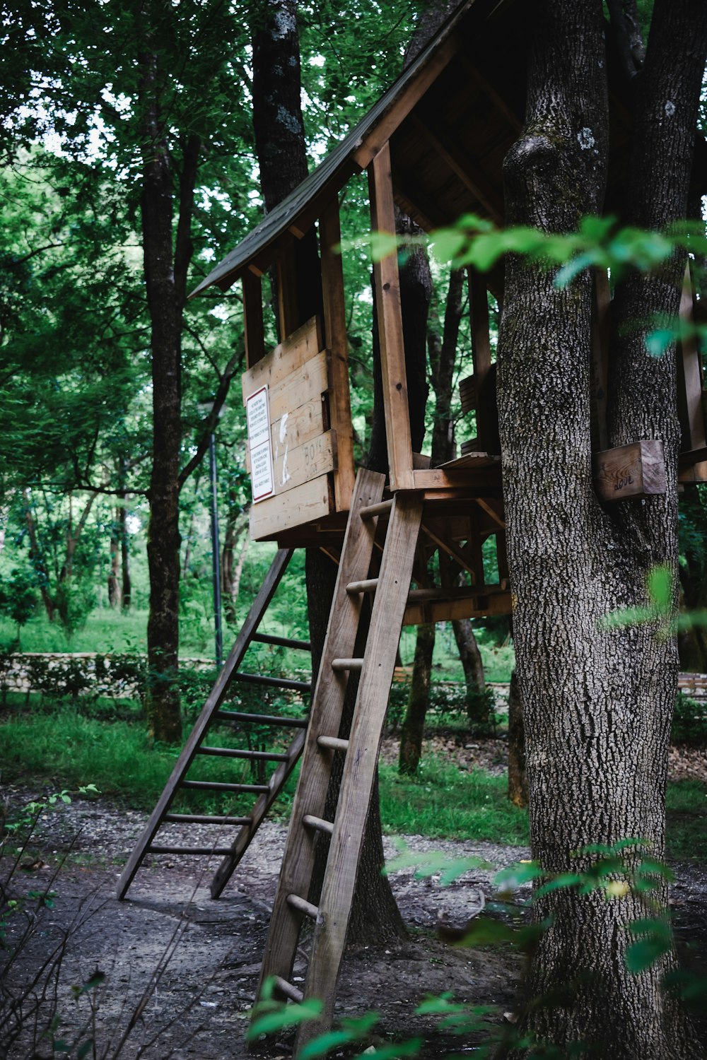 brown wooden tree house