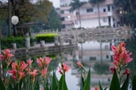 A peaceful moment by the campus pond, reflecting the foundation’s commitment to global harmony.