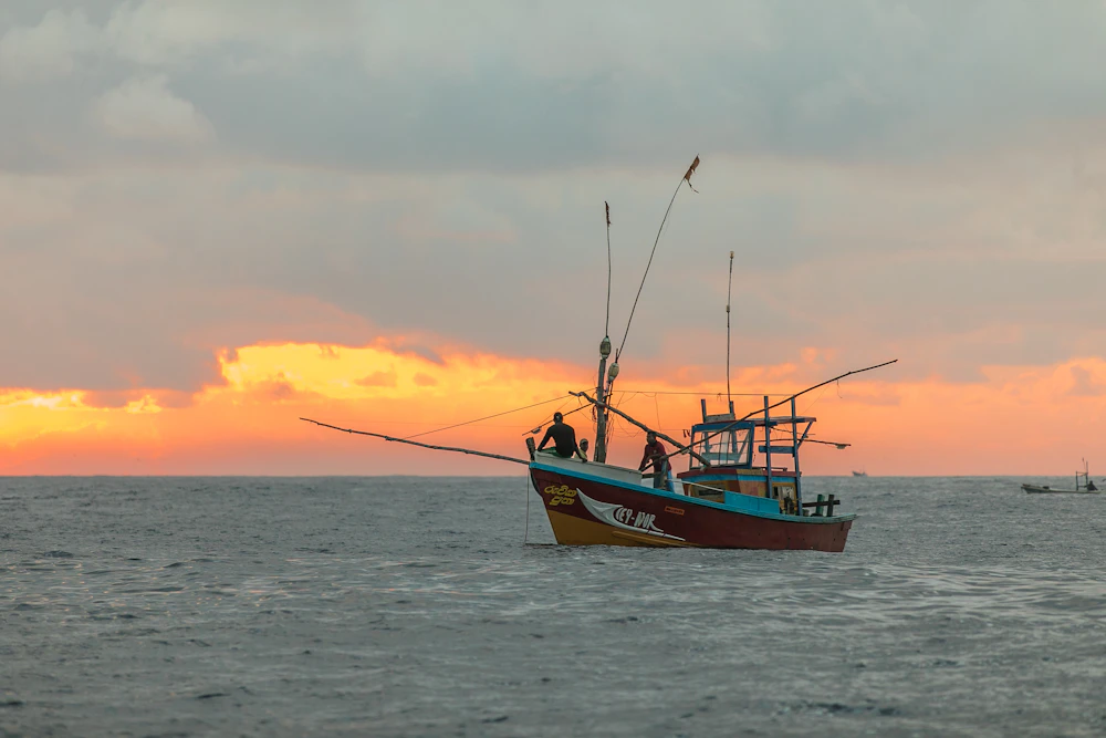 Reef fishing
