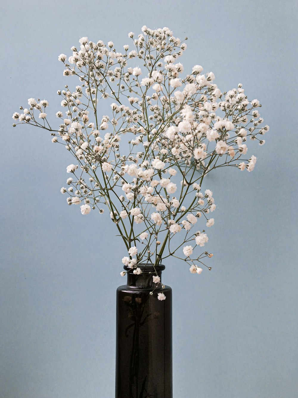 fleurs blanches sur vase en verre