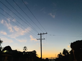 A vibrant animation showing Assam's power distribution grid lighting up the state at dusk.