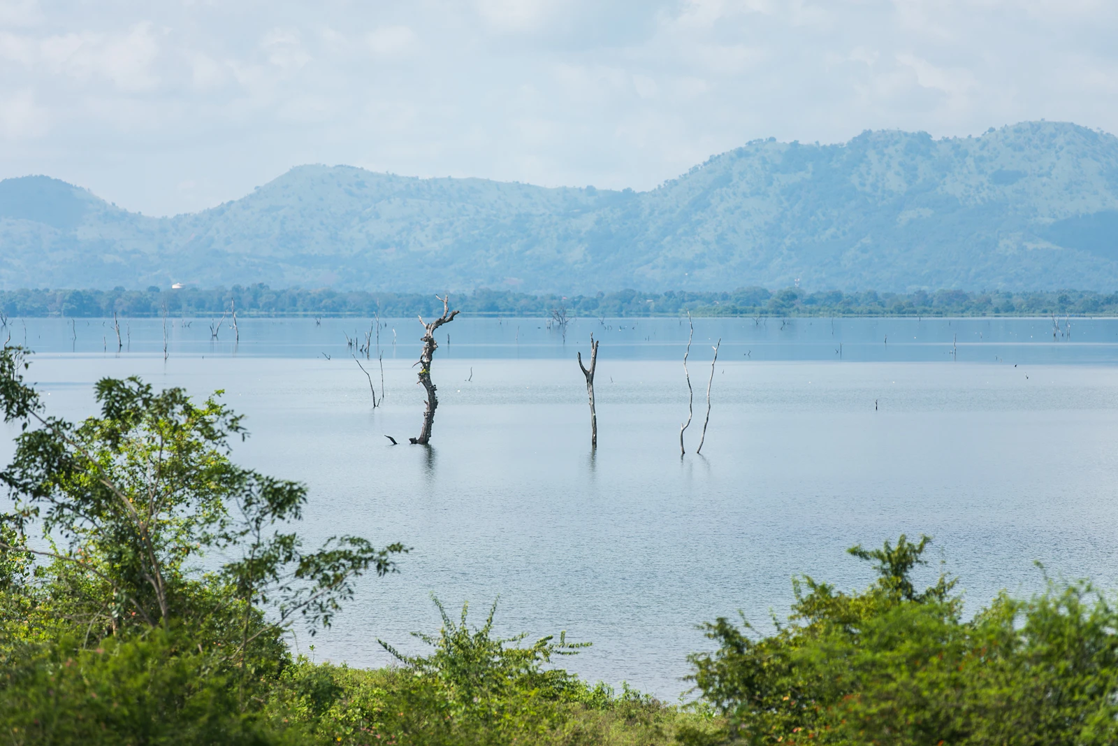 Lake Manyara National Park