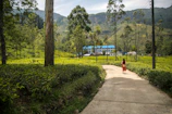 woman walking on walkway