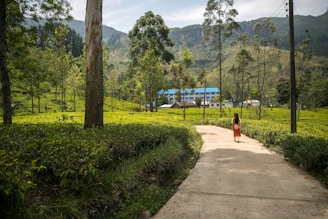 woman walking on walkway