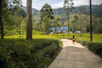 woman walking on walkway