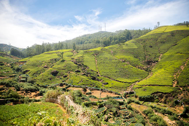 6-Day Nuwara Eliya Family Travel Guide & Itinerary