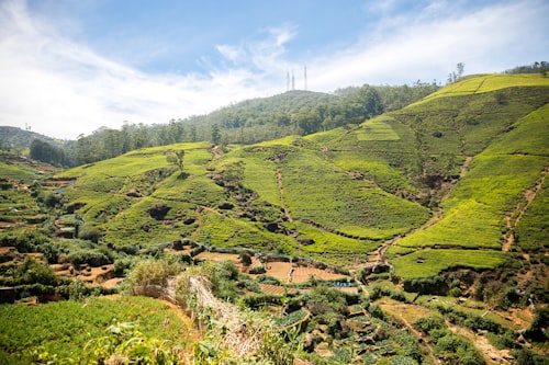 Nuwara Eliya gallery