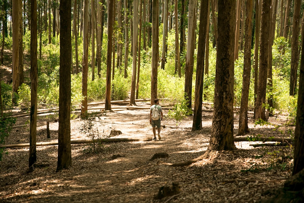 man walking on dirt trail at the woods