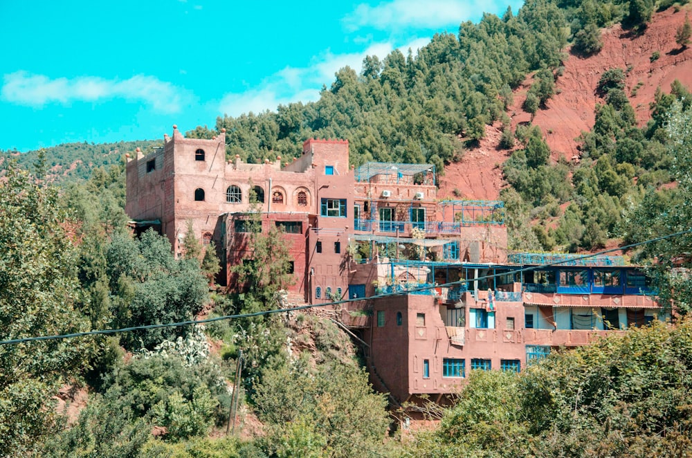 aerial photo of houses surrounded by trees