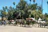 A happy family loading a horse trailer on a sunny day.