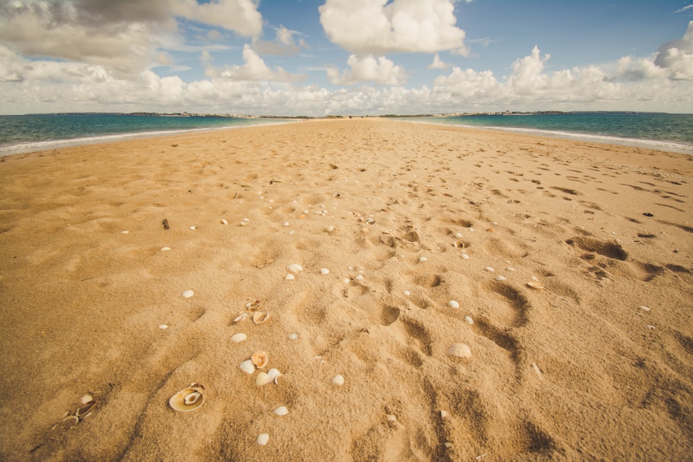 photography of brown sand beside shore during daytime