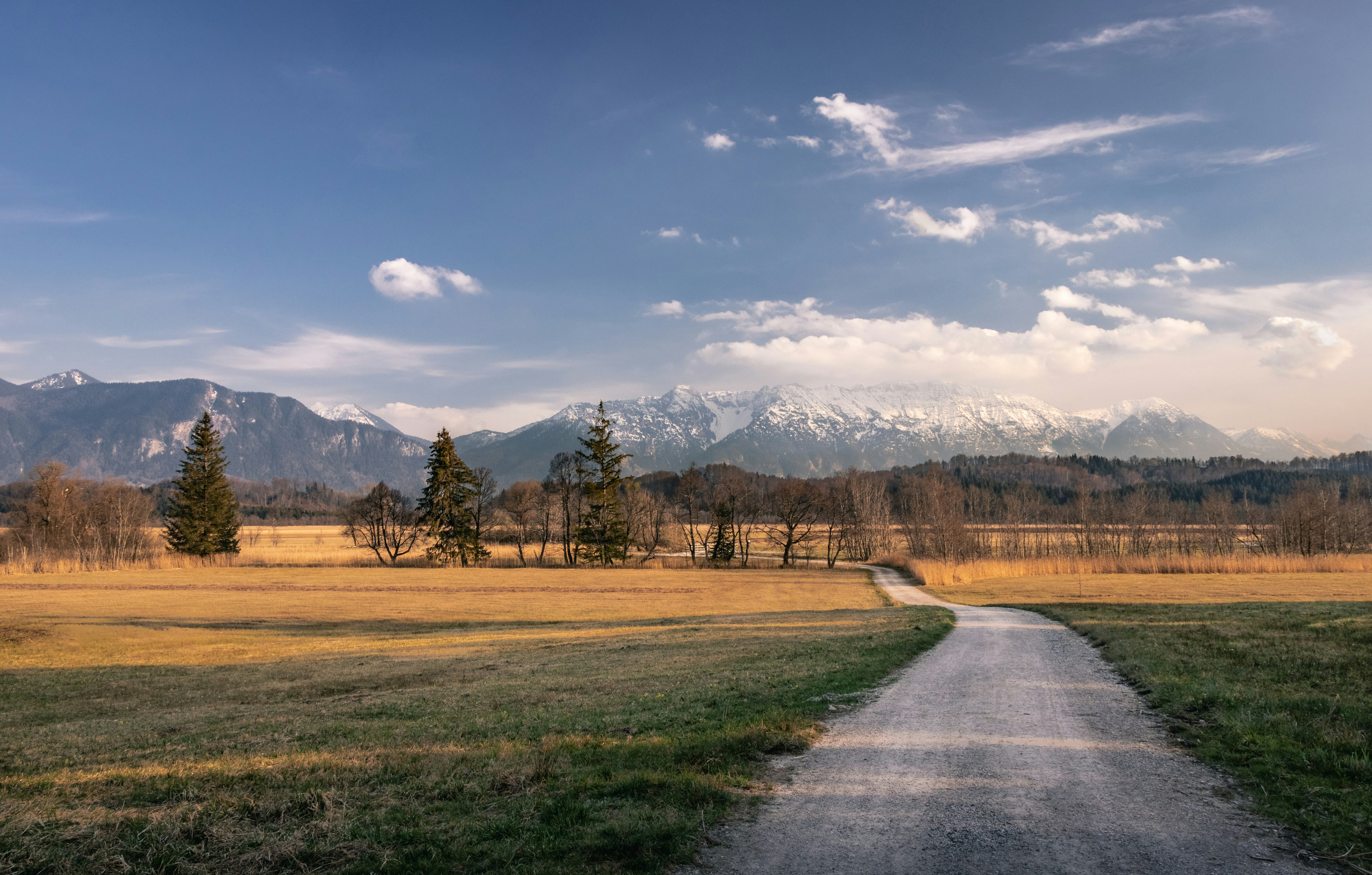 road in between grass field