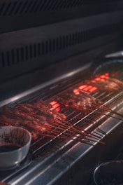 meat slices on sticks on barbecue grill