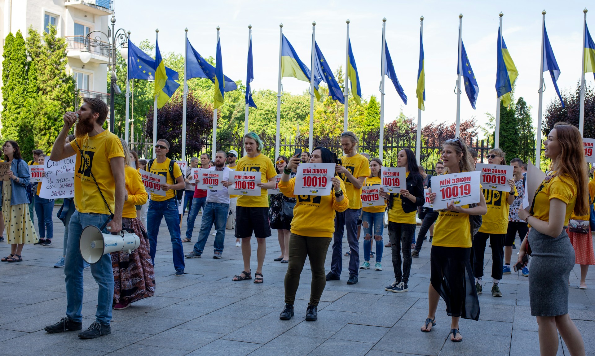 gray computer monitor