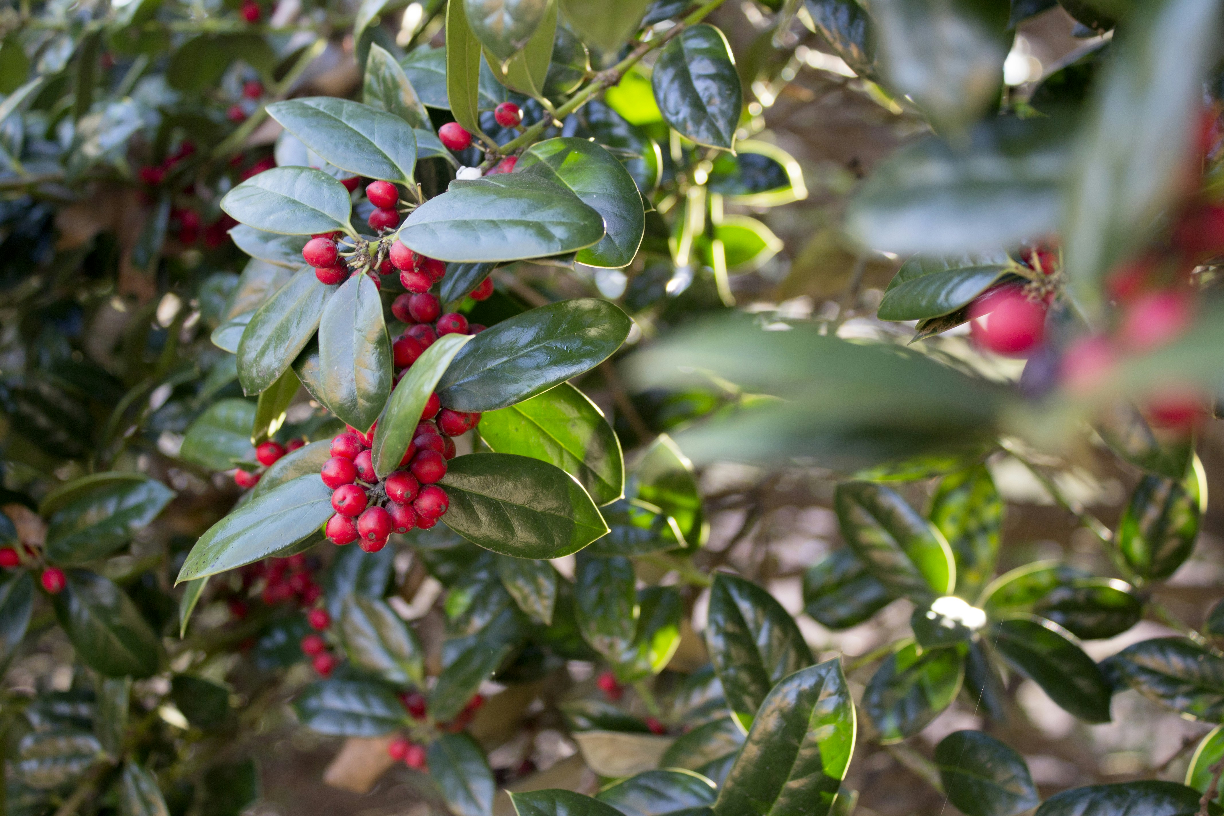 Photo by michael_meigs