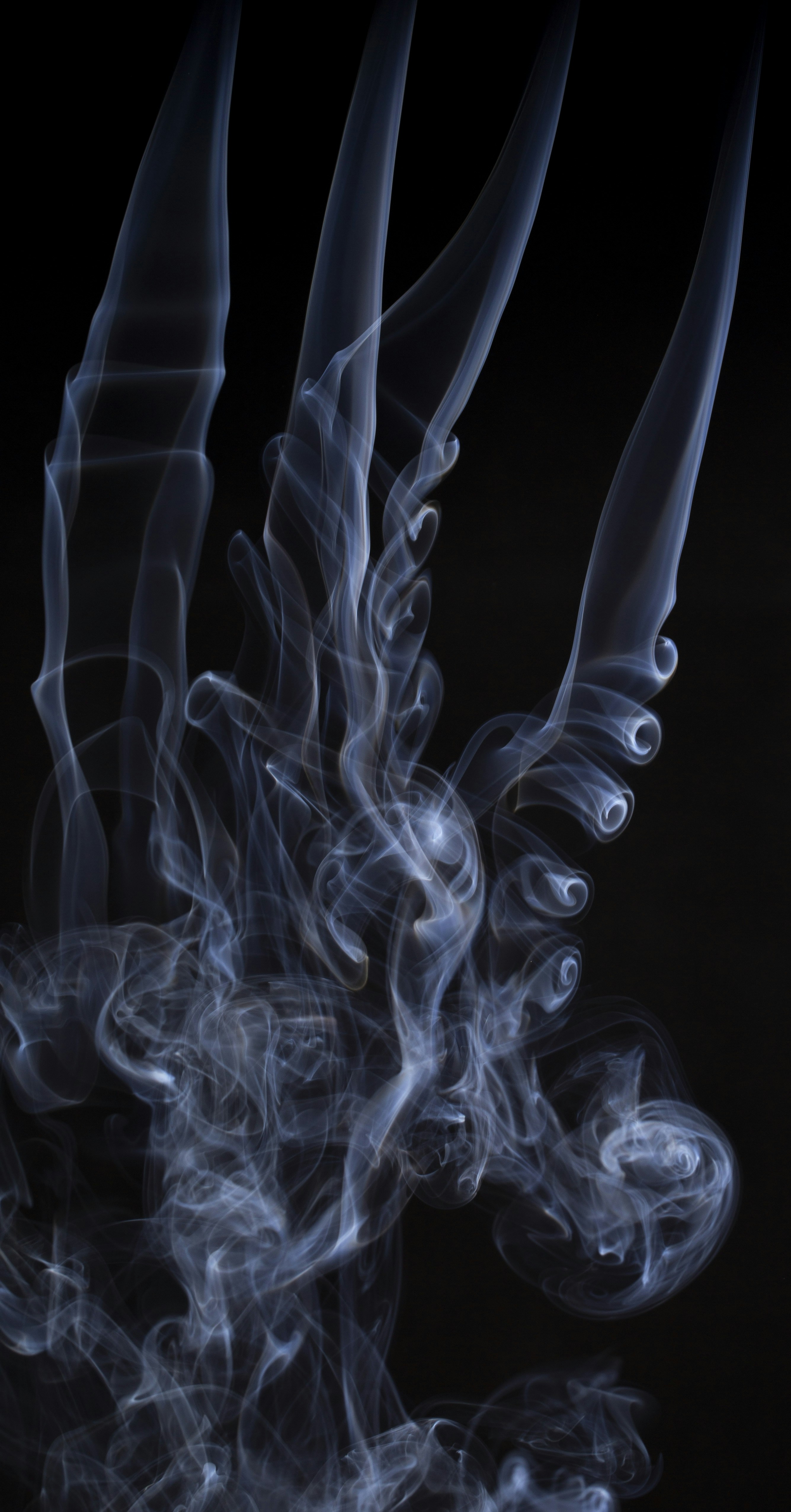 Photo by serenarepice