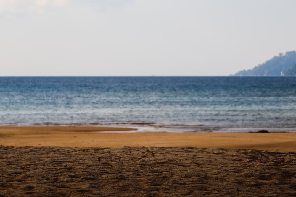 beach during daytime