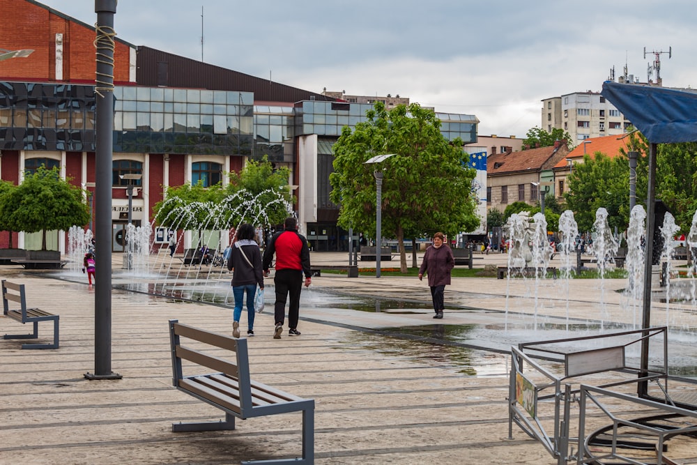 group of people walking on park