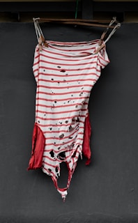 The iconic red and green striped sweater hanging on a dark, rusty hook.