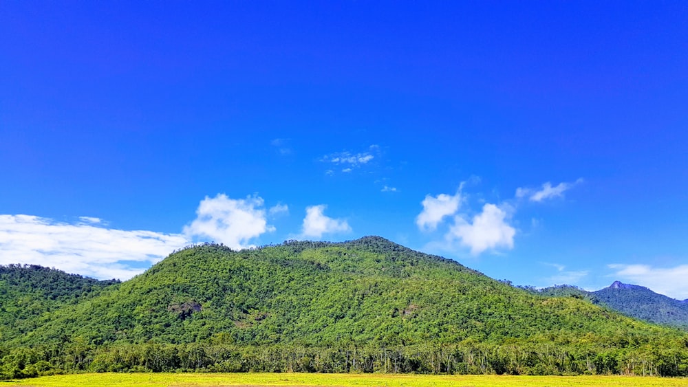 montagne couverte d’arbres verts pendant la journée