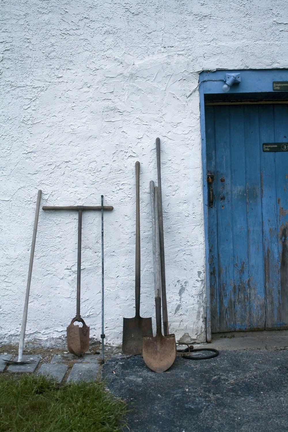 assorted gardening tools leaning on white wall