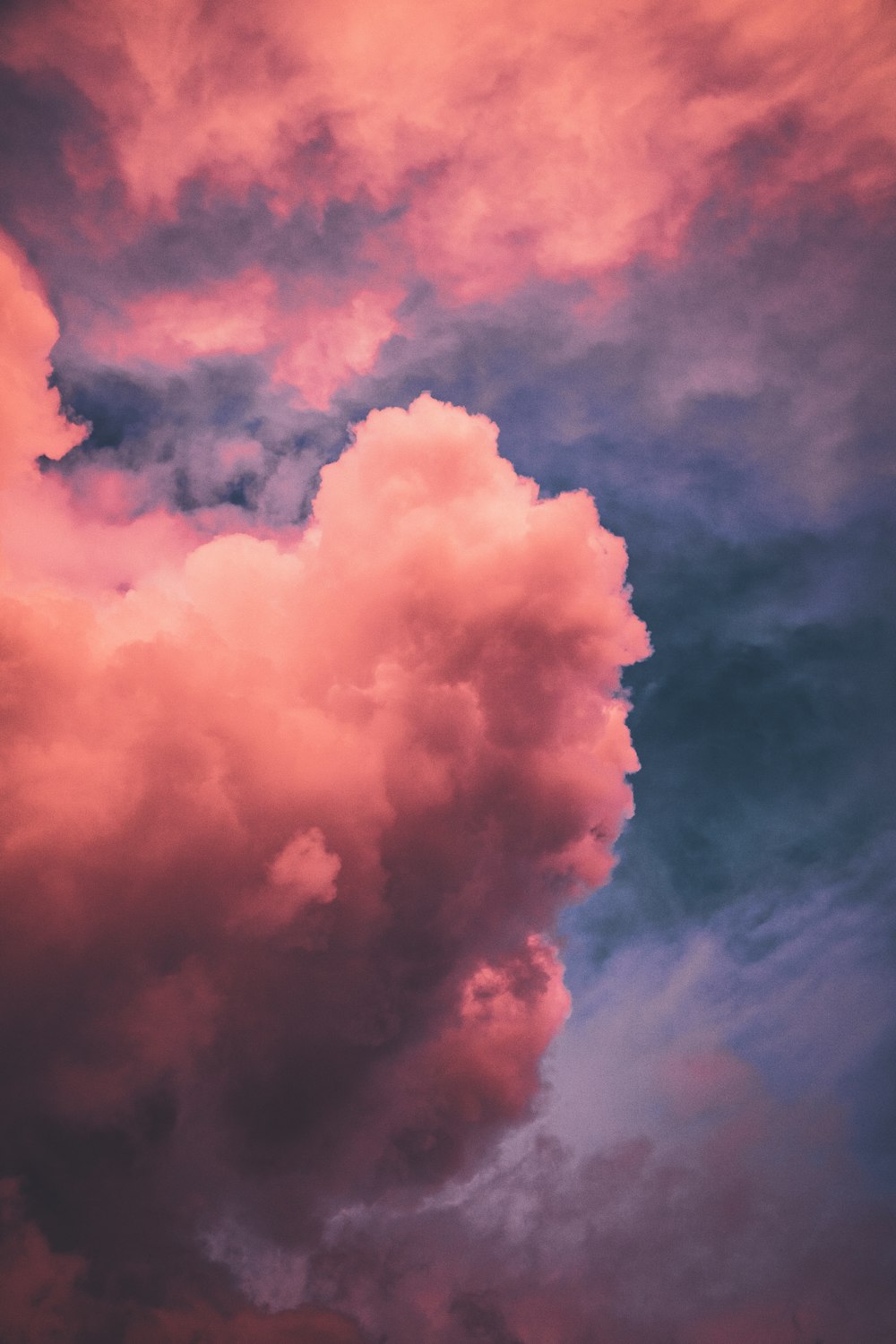 분홍색과 흰색 적운 구름
