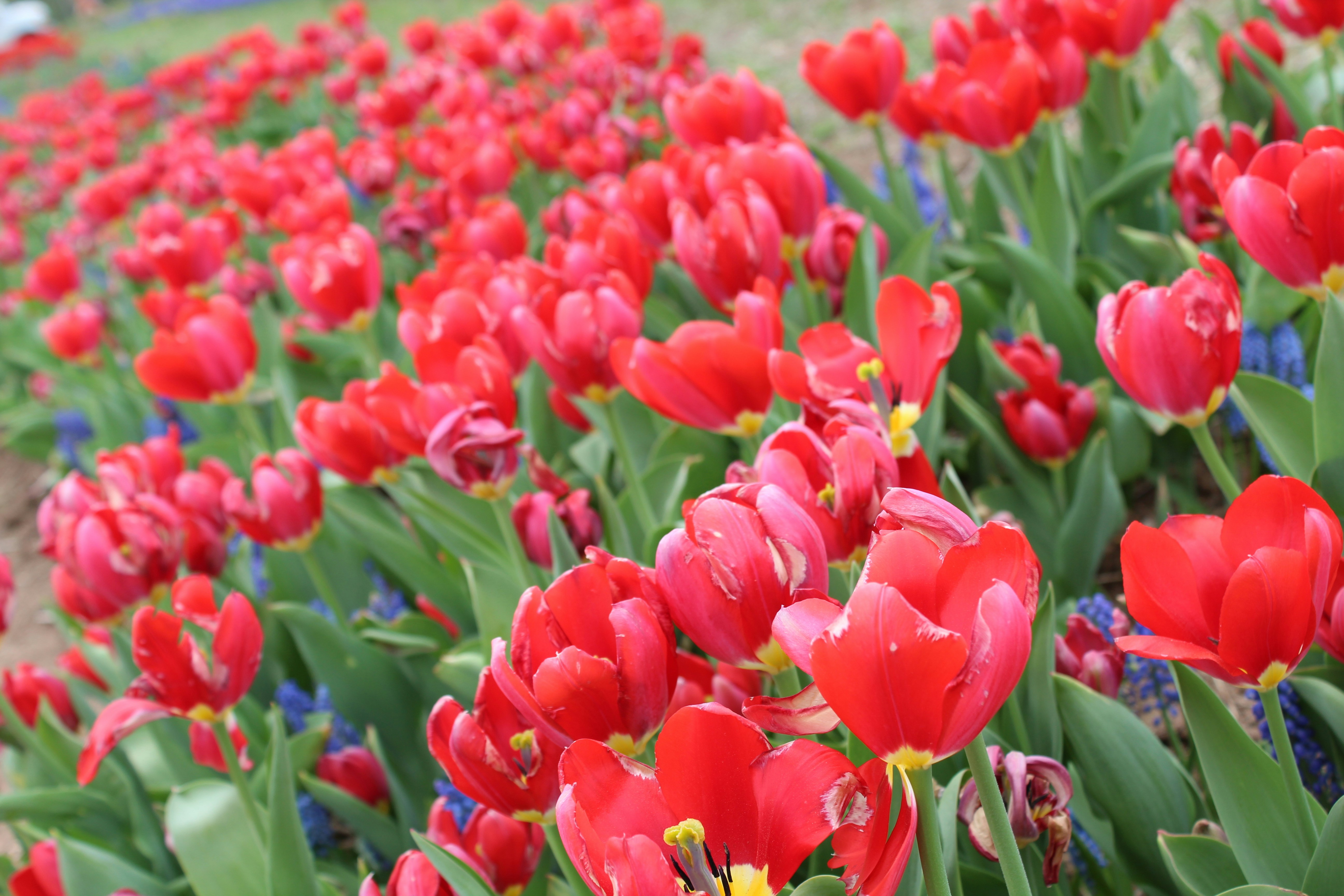 Photo by elevateitnow