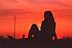 silhouette photography of person sitting on grass