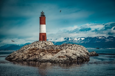 red and white lighthouse near body of water