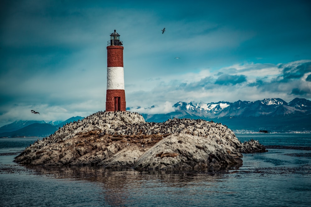 red and white lighthouse near body of water