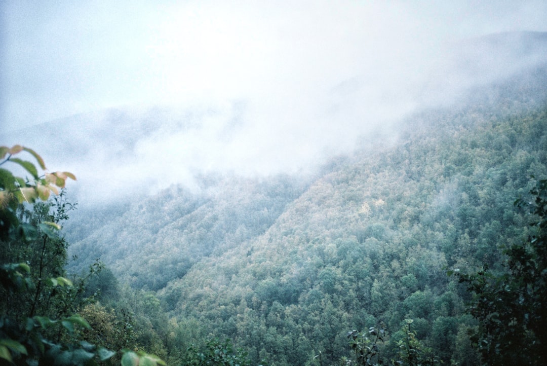 landscape photo of a mountainside