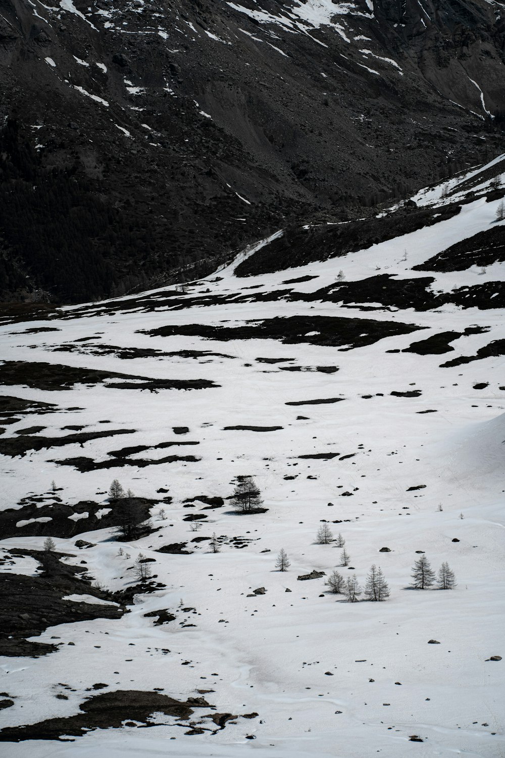 Nieve blanca