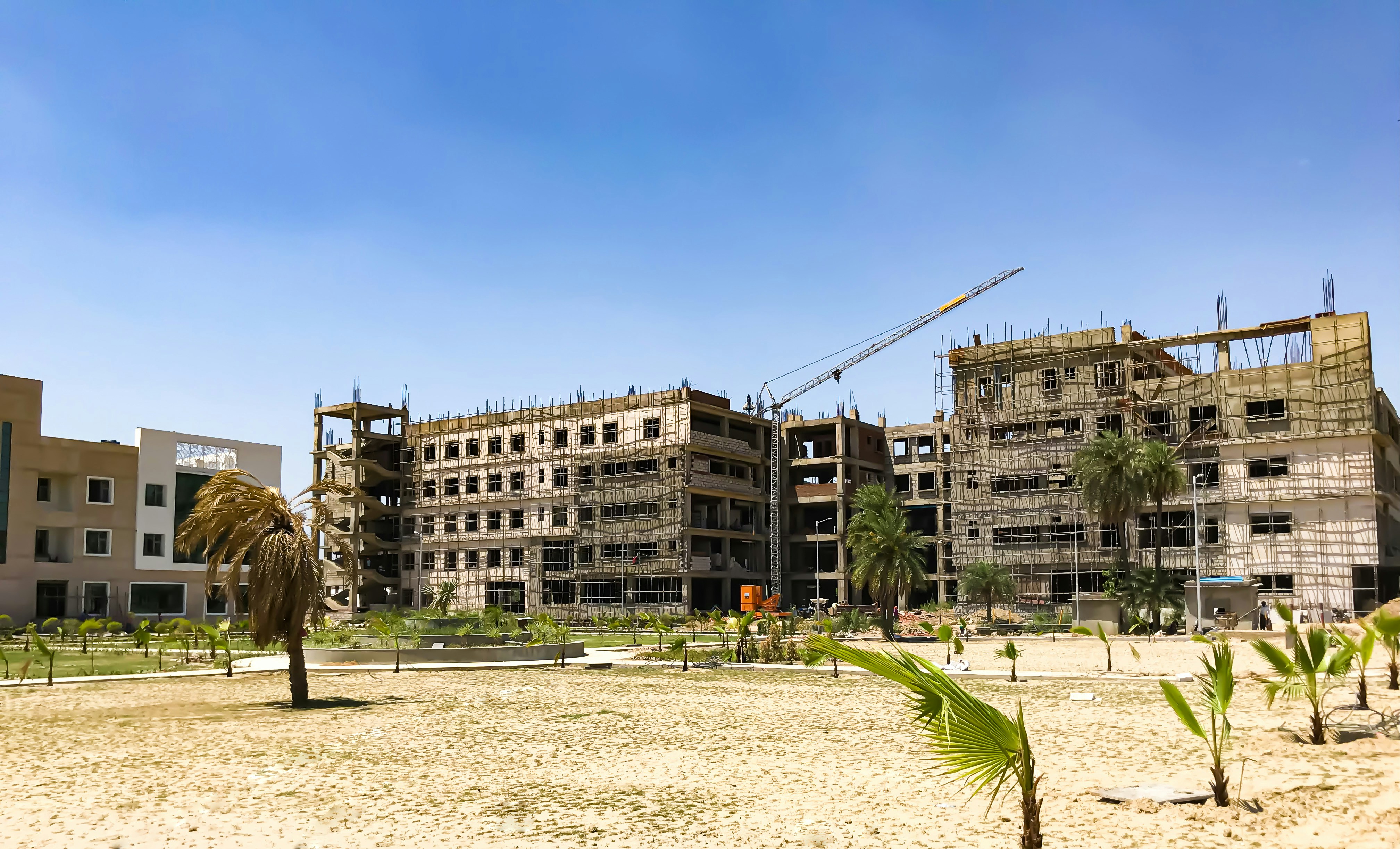 Как выбрать надёжного застройщика в Египте: советы и ошибки