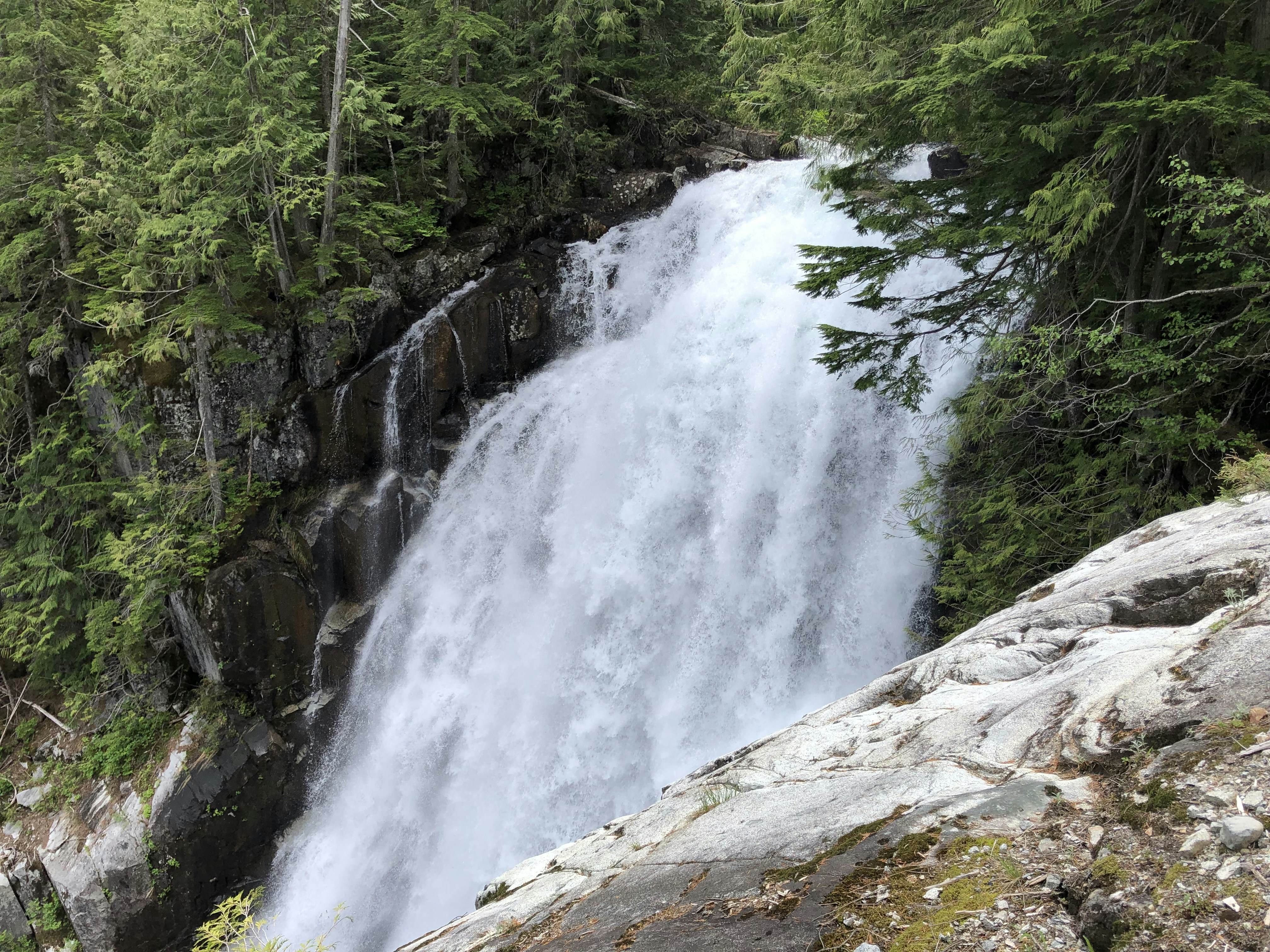 Photo by republickang