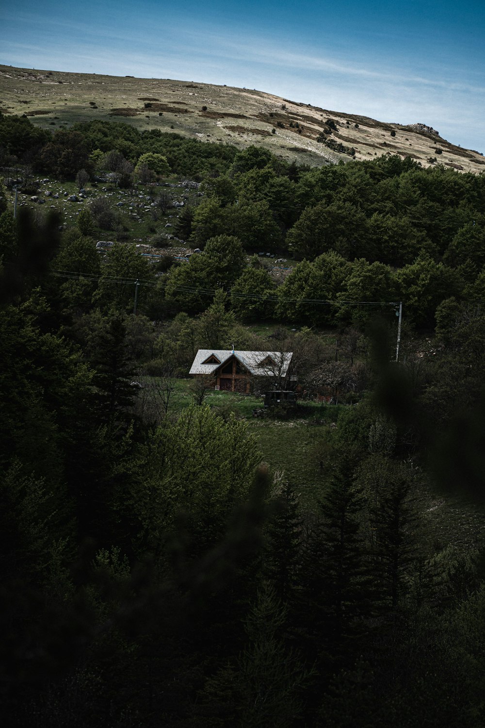 aerial photography of house surrounded by trees photo