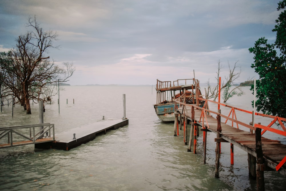 gray wooden dock beside trees