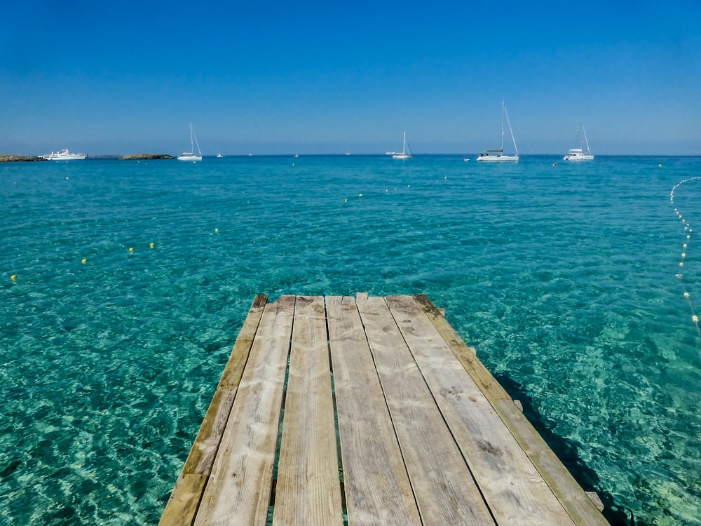 photography of five yacht on shore during daytime