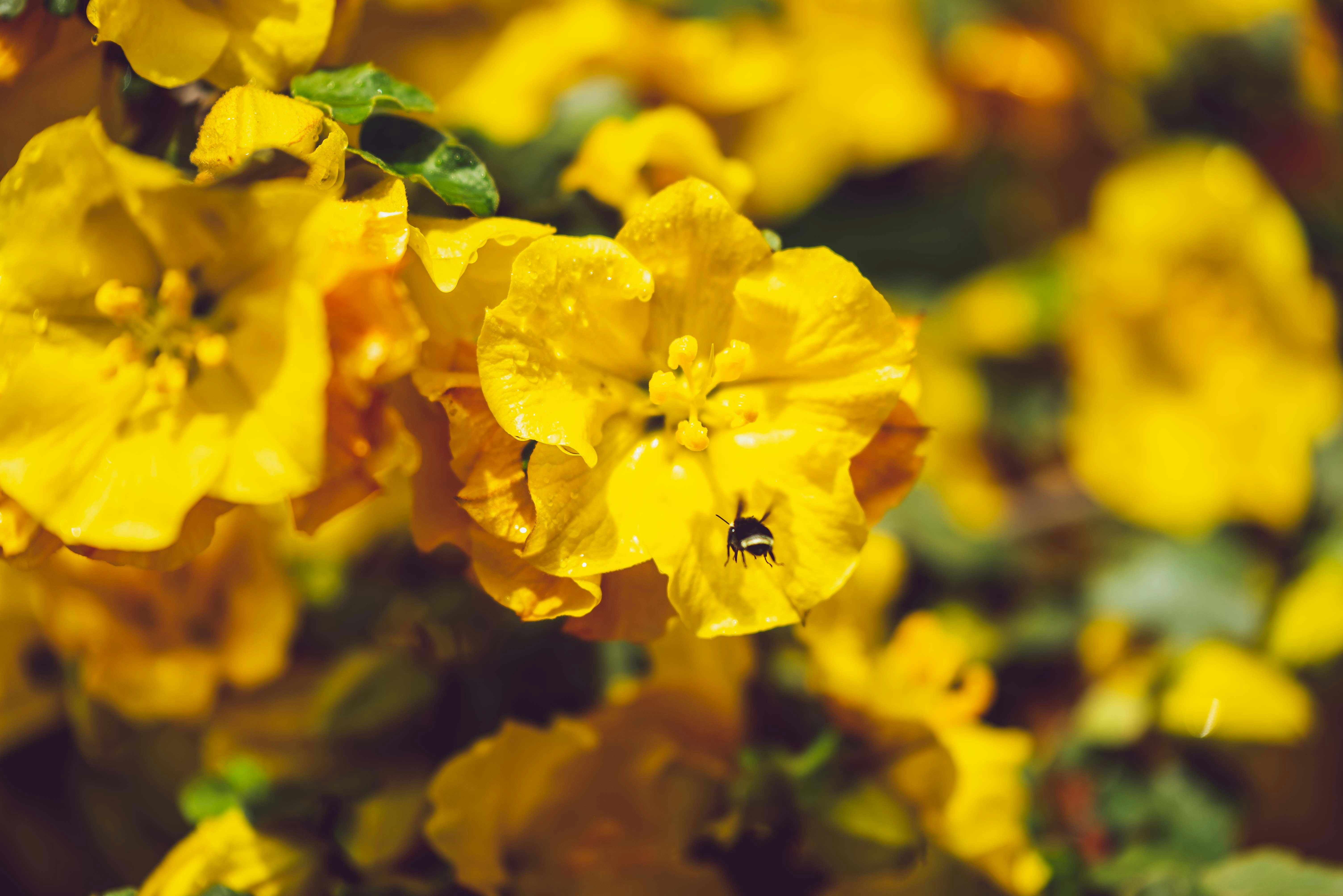 Photo by vladvictoria