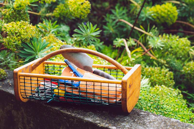 basket of gardening tools