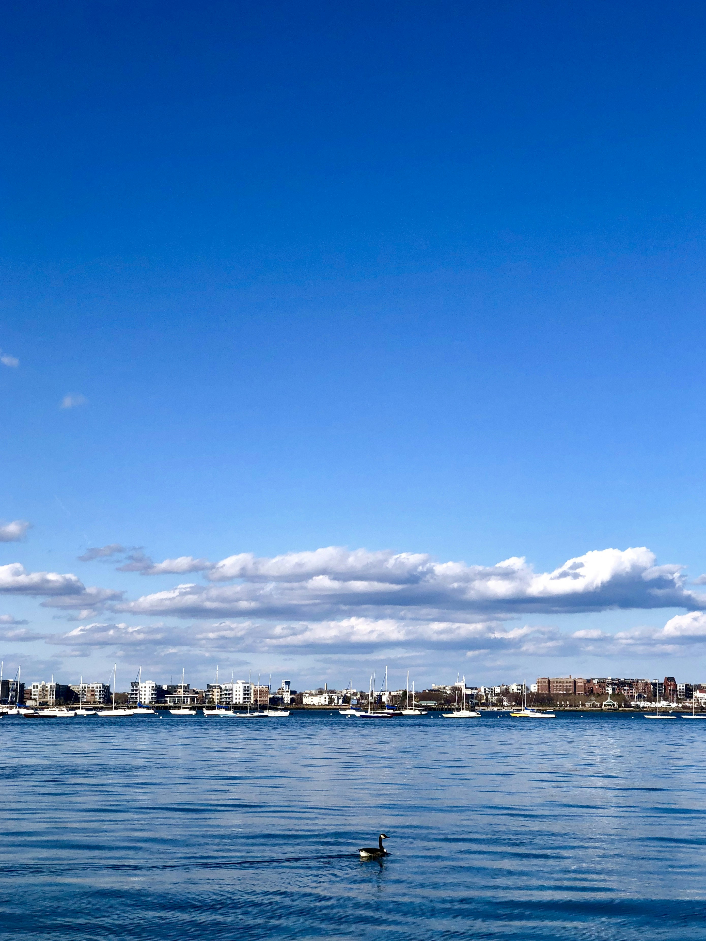 Photo by filtergrade