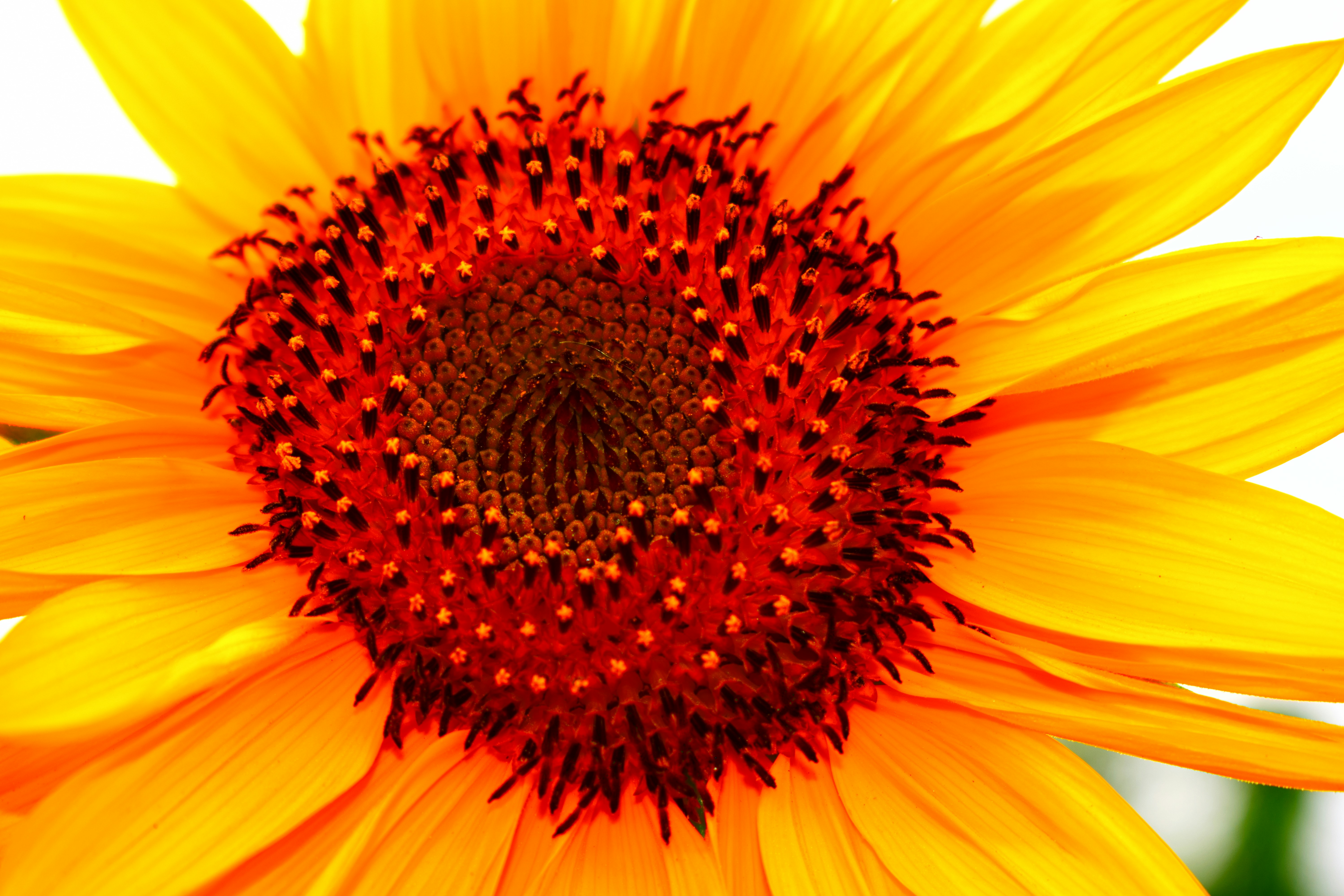 Photo by iu_unsplash