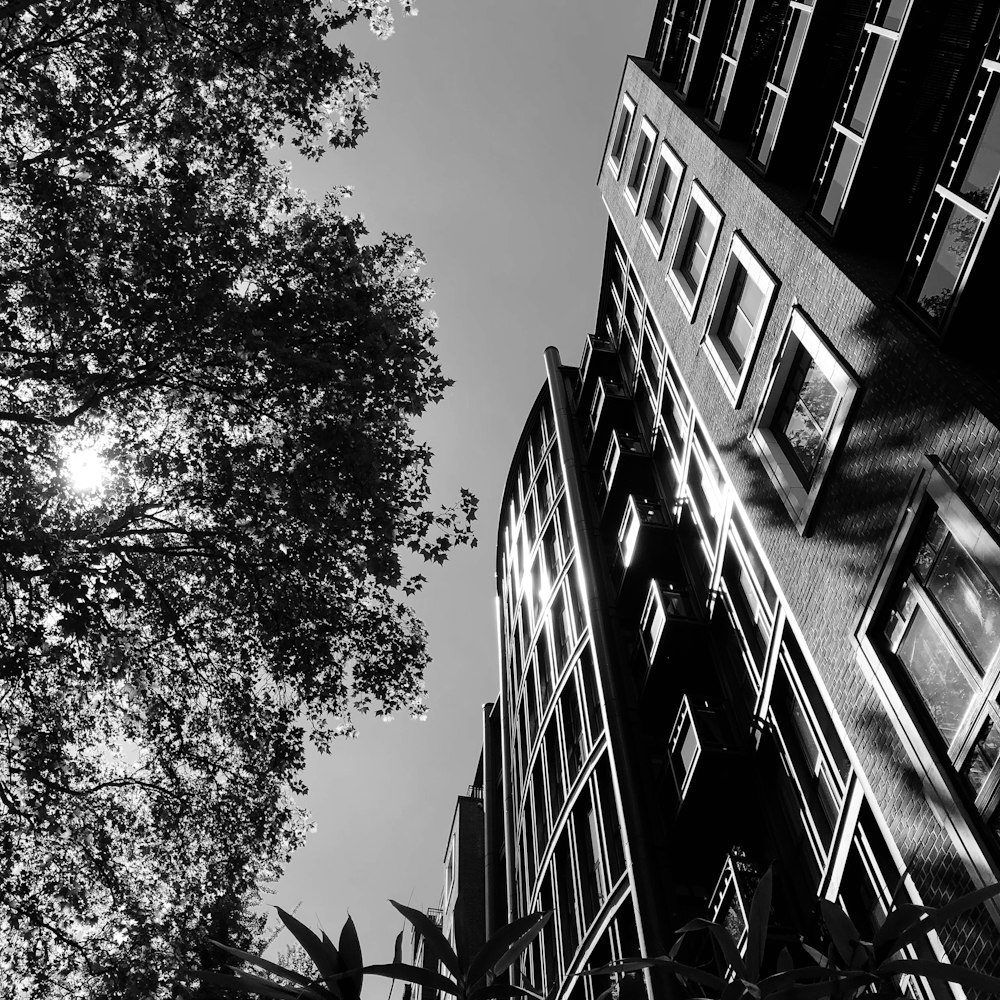 a black and white photo of tall buildings