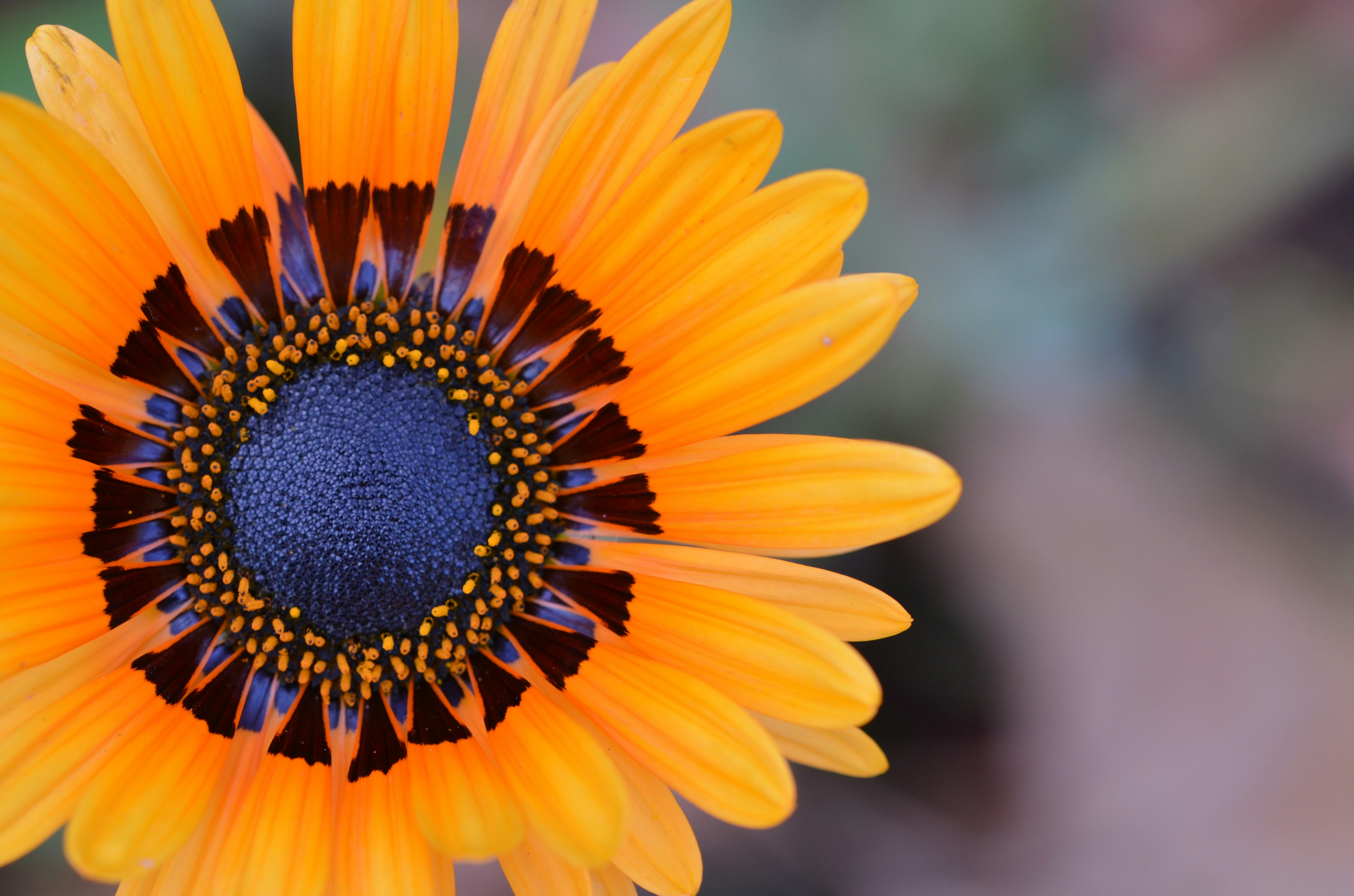 Photo by madebyclaire