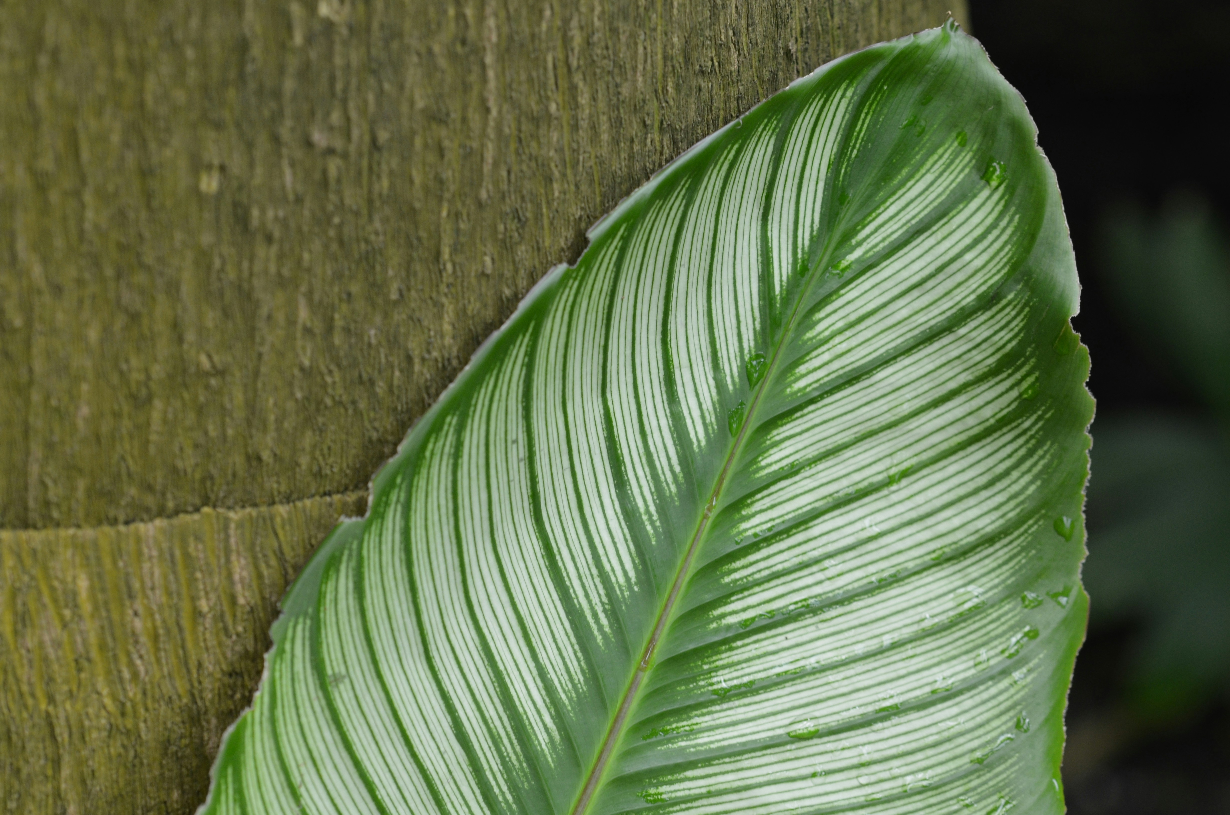 Photo by madebyclaire